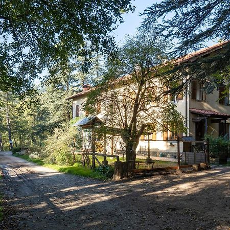 Villa Rifugio Asqua Poppi Esterno foto